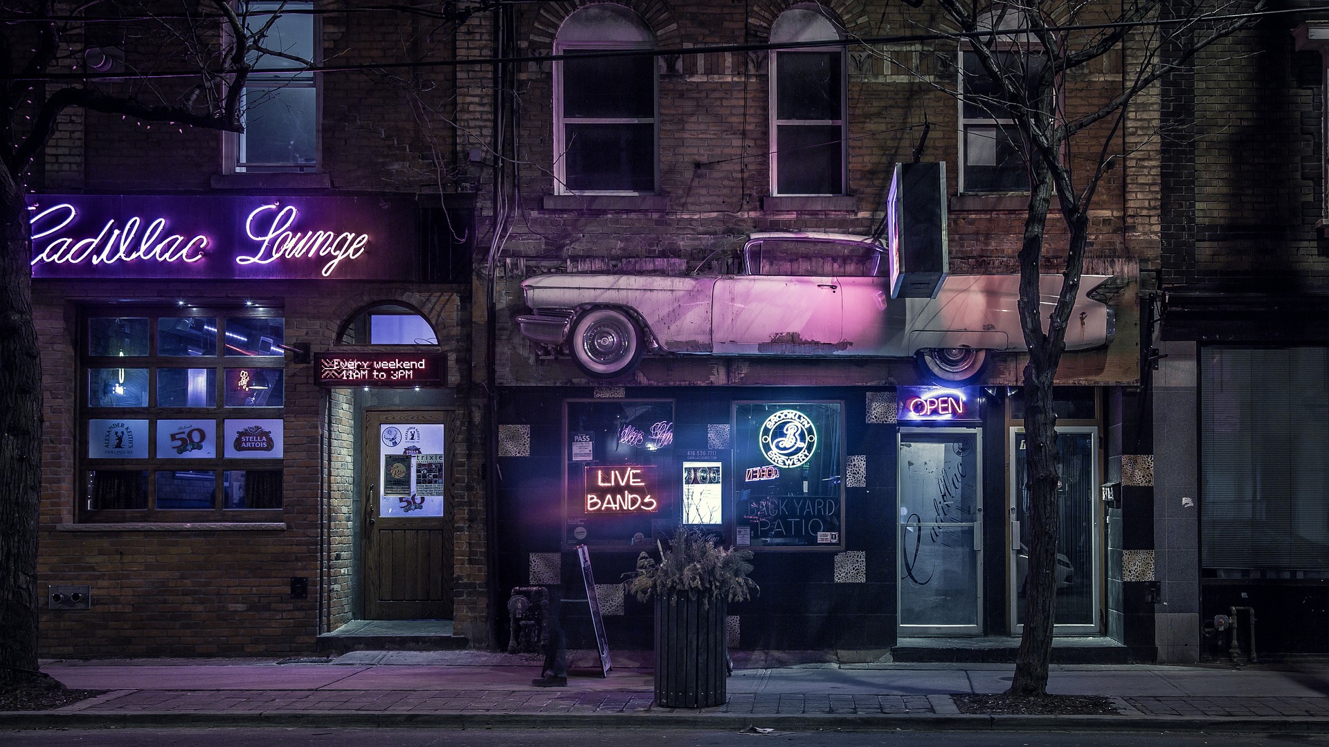 bar storefront with neon lights