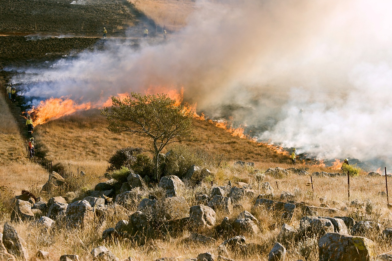 An image of a wildfire that is burning on grassy plains