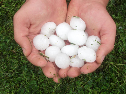 two hands holding a pile of large hail stones