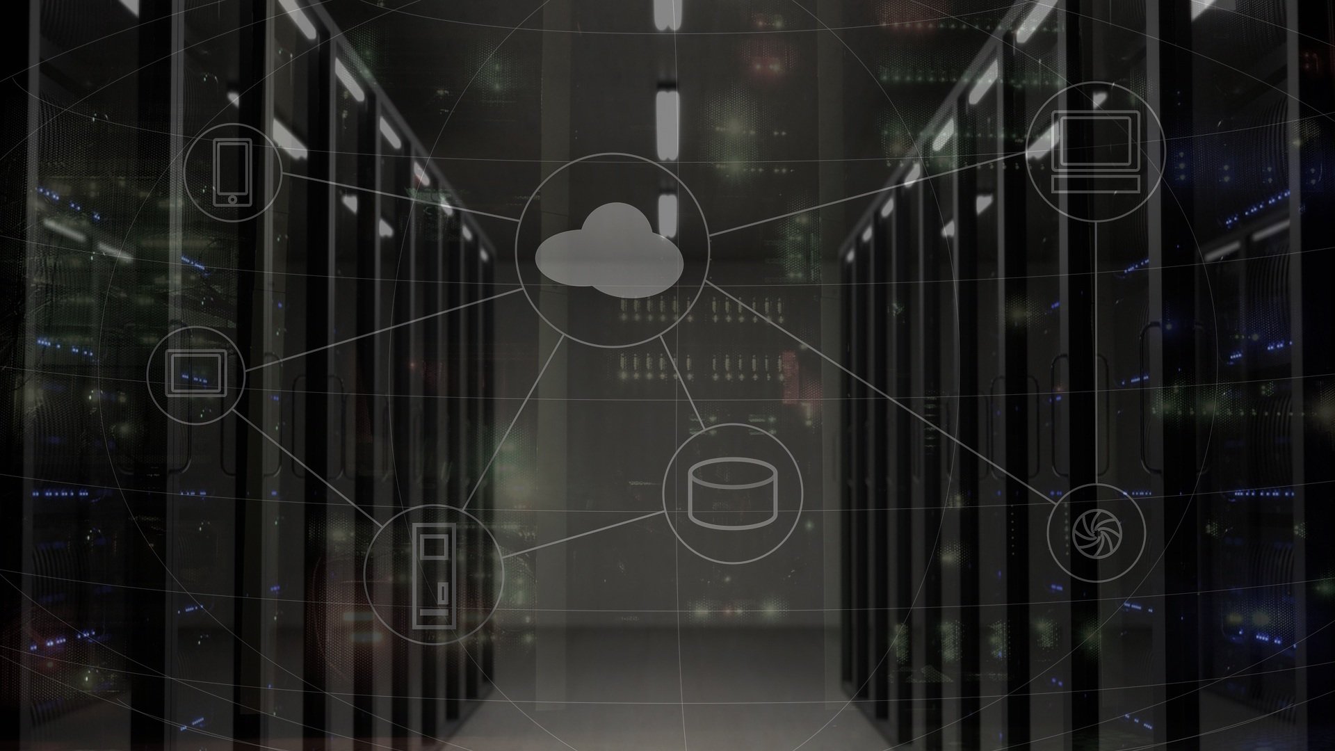 network server graphic